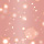 06 fairy rose